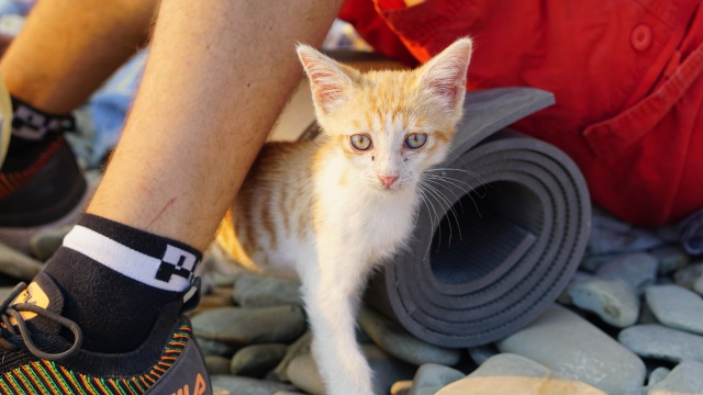 Пожар - Утришский заповедник - 3.jpg Пожар - Утришский заповедник - 3.jpg